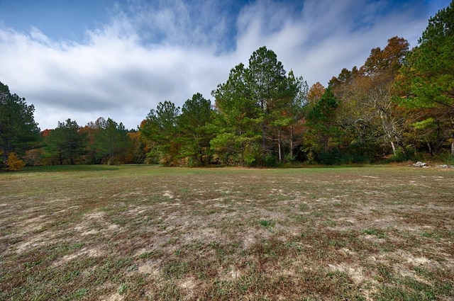 700 Kincaid Rd, Minor Hill, TN 38473 - view of yard featuring a wooded view