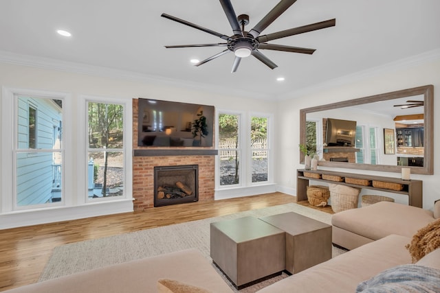 living room with light hardwood / wood-style flooring, ceiling fan, a fireplace, and crown molding