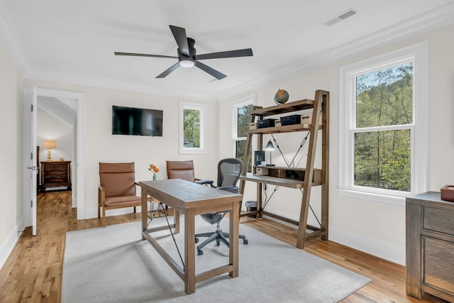 office with crown molding, light wood-type flooring, and ceiling fan