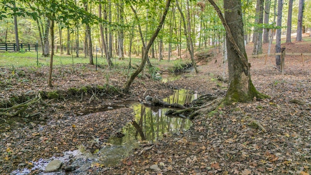 view of local wilderness