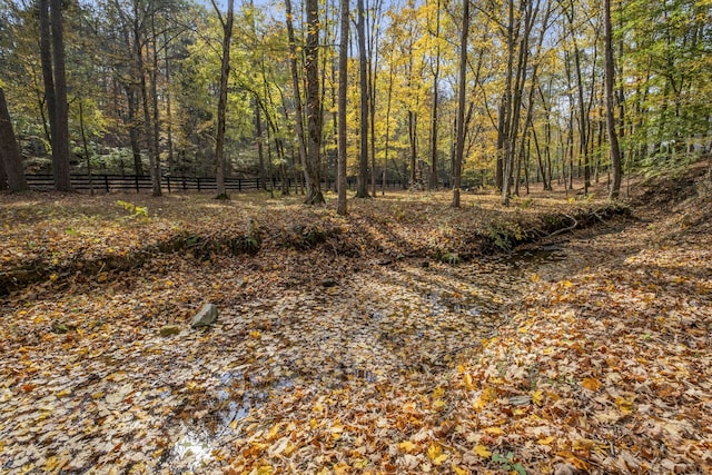 view of local wilderness