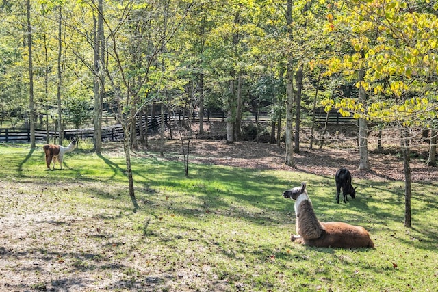 view of yard with a rural view