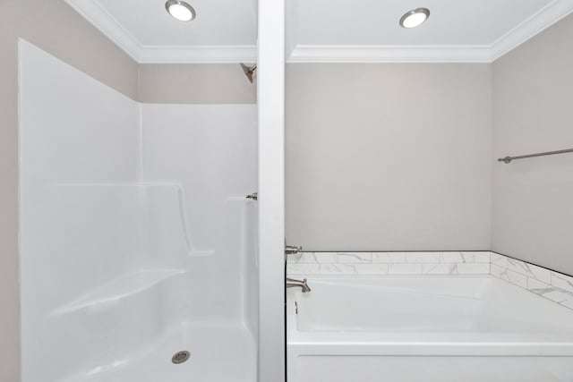 bathroom featuring ornamental molding and independent shower and bath