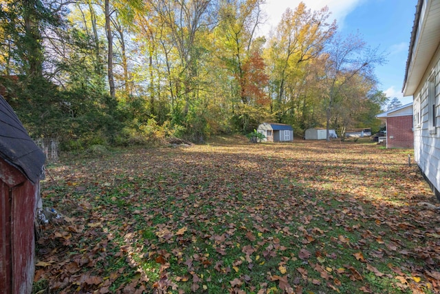 view of yard featuring a storage unit