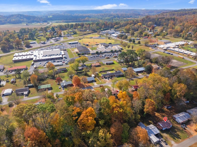 bird's eye view