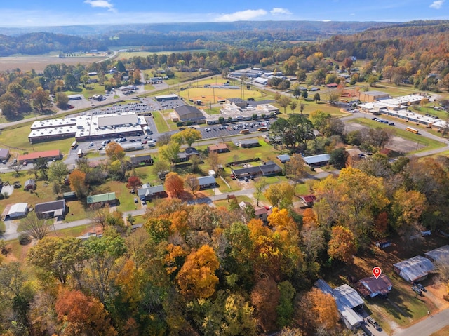 122 Shelton St, Linden, TN 37096 - aerial view of property's location with a forest