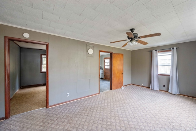 spare room featuring ceiling fan, carpet, and ornamental molding