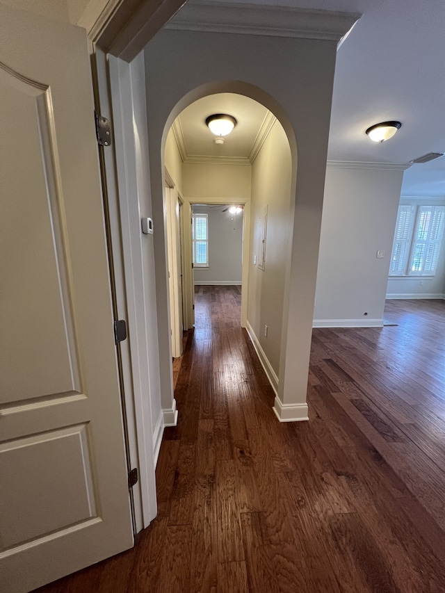 hallway with crown molding and dark hardwood / wood-style floors