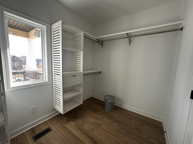 walk in closet with dark wood-type flooring