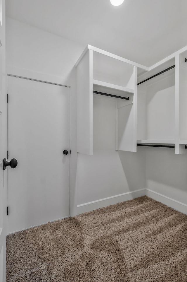 walk in closet featuring carpet