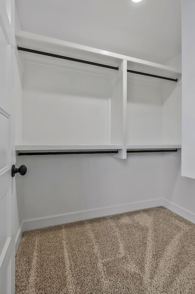 walk in closet with carpet floors