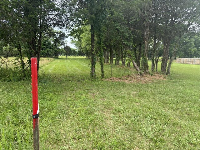 2120 Hamilton Chambers Rd, Lebanon, TN 37087 - view of yard