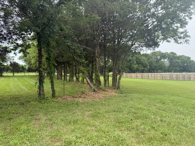 2120 Hamilton Chambers Rd, Lebanon, TN 37087 - view of yard