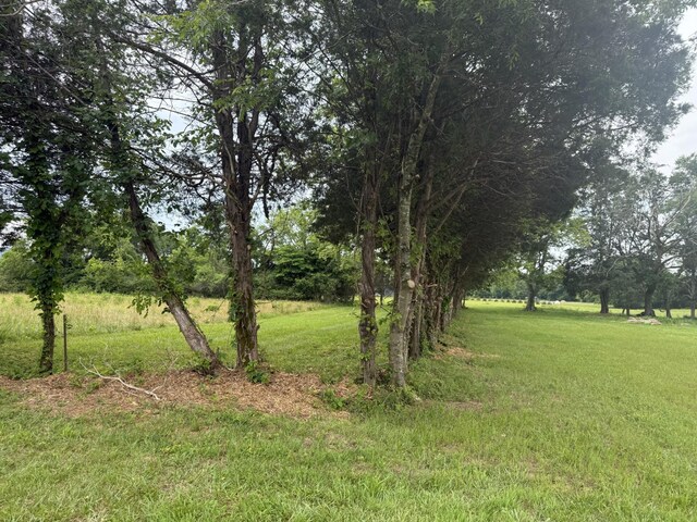 2120 Hamilton Chambers Rd, Lebanon, TN 37087 - view of green lawn