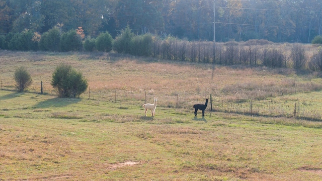 view of yard with a rural view