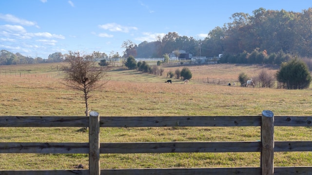 view of yard featuring a rural view