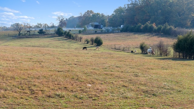 view of yard with a rural view