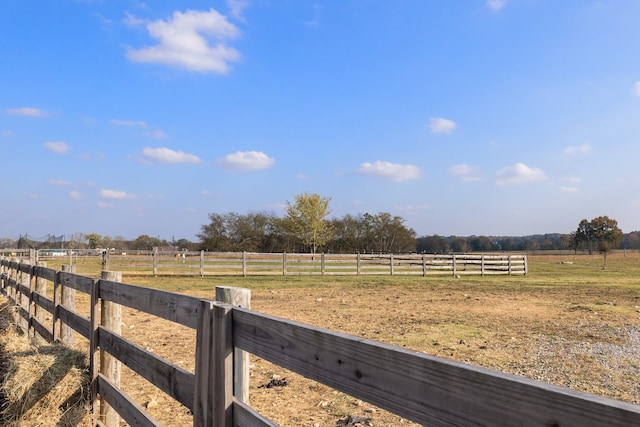 view of yard featuring a rural view