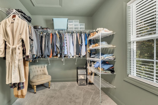 walk in closet with carpet floors