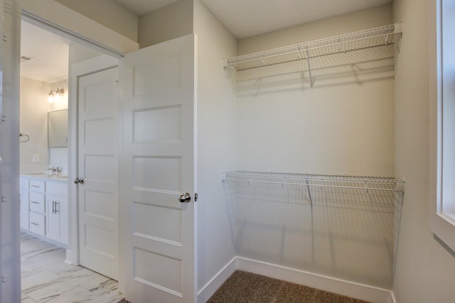 closet with sink