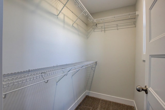 spacious closet featuring carpet floors