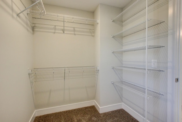 spacious closet featuring carpet