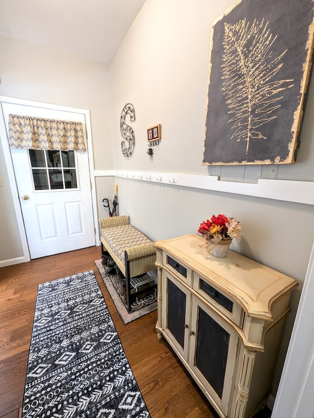 mudroom with dark wood-type flooring