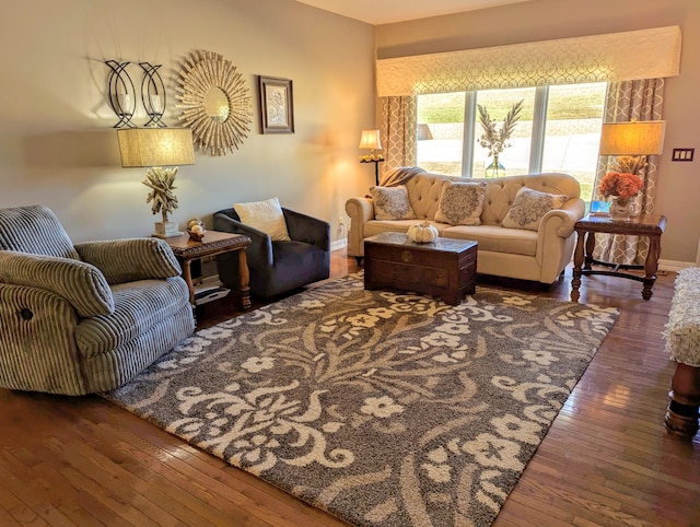 living room with dark hardwood / wood-style floors