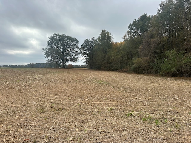 0B Stevenson Rd, Ardmore TN, 38449 land for sale