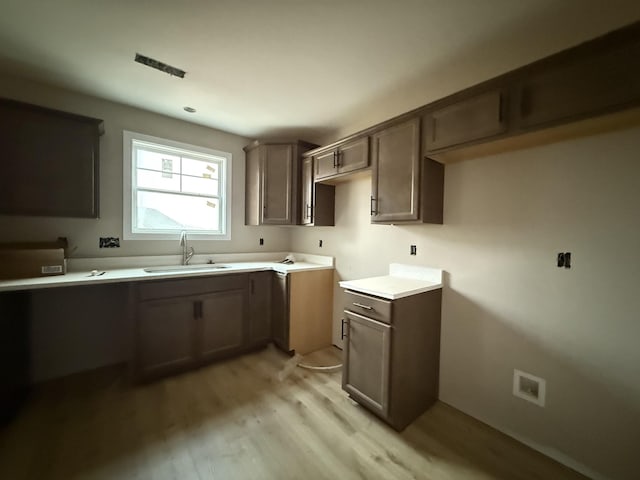 kitchen with dark brown cabinets, light wood-type flooring, and sink