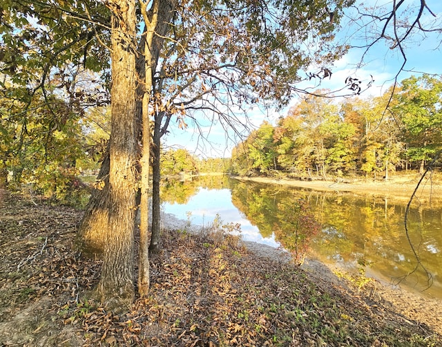 328 Duck Blind Rd, Clifton TN, 38425 land for sale