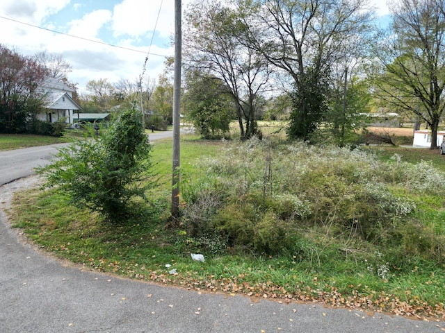 302 S Walnut St, Linden, TN 37096 - view of asphalt street