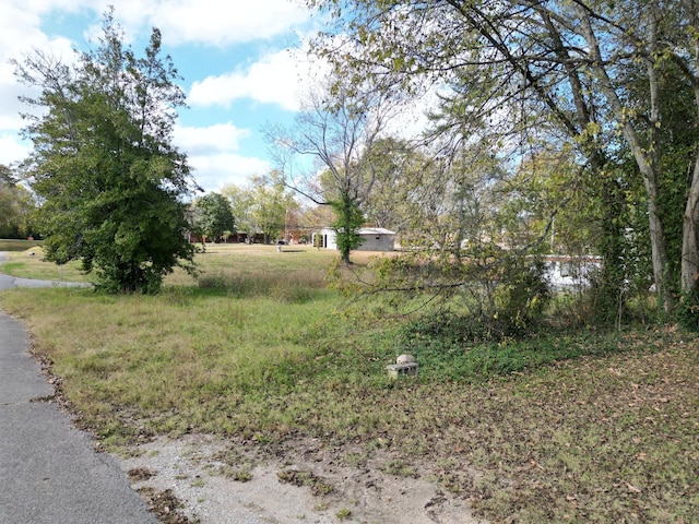302 S Walnut St, Linden, TN 37096 - view of yard