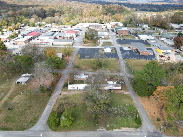 302 S Walnut St, Linden, TN 37096 - view of property location