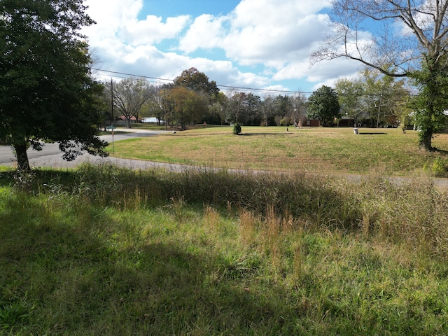 view of local wilderness