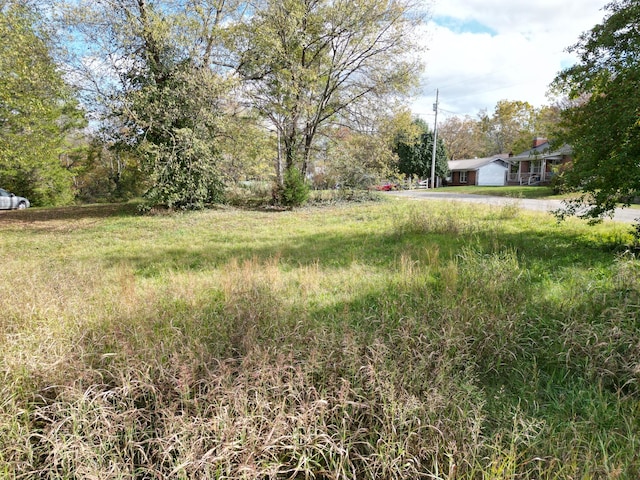 302 S Walnut St, Linden, TN 37096 - view of yard with driveway
