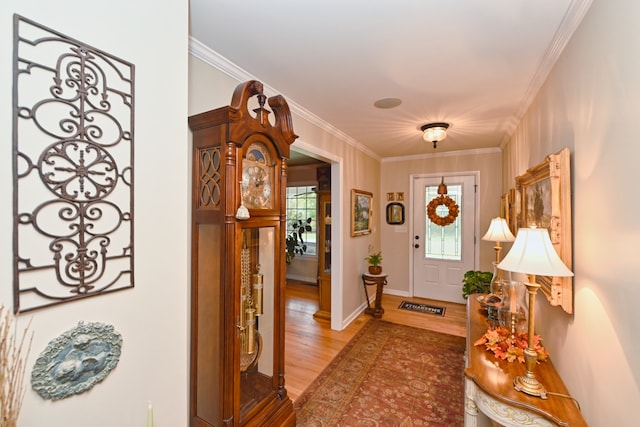 foyer featuring crown molding and hardwood / wood-style flooring