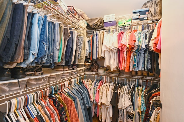 view of walk in closet