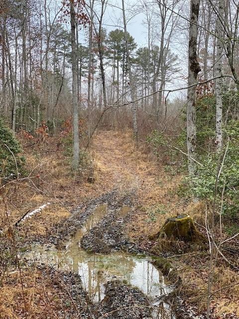 5 Colony Rd, Gruetli Laager, TN 37339