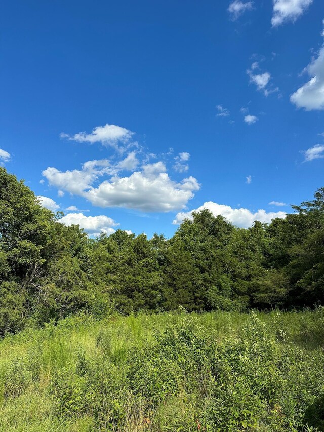 14 Battle Creek Rd, South Pittsburg, TN 37380 - photo 6