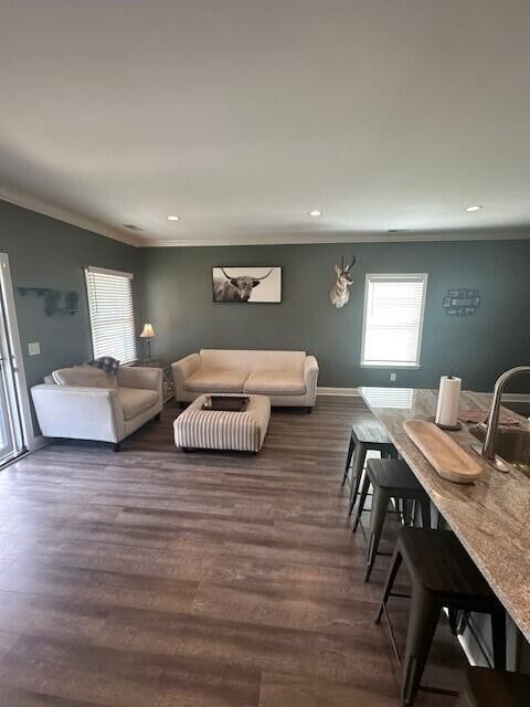 living room with dark wood-type flooring, ornamental molding, and sink