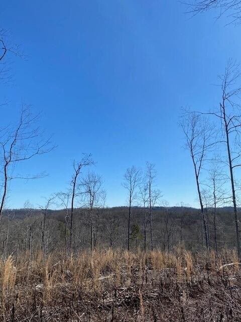 18 River Rd, Decatur TN, 37322 land for sale