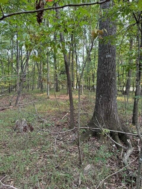 141 Camp Creek Cir, Spencer, TN 38585 - photo 12
