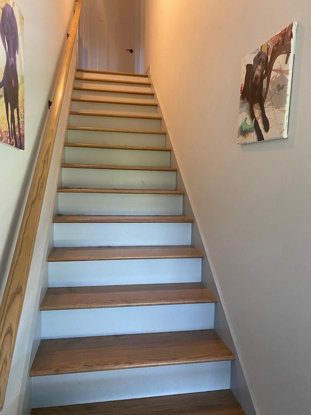 staircase with hardwood / wood-style floors