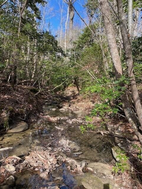 Listing photo 3 for 1 Thomas Springs Rd, Crossville TN 38572