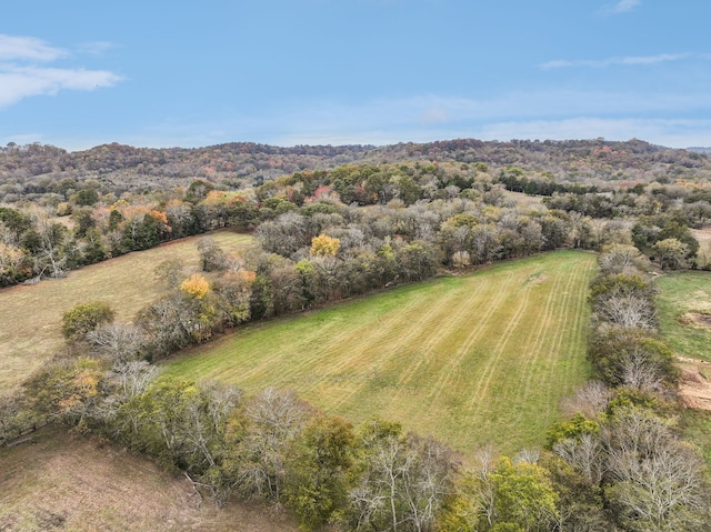 drone / aerial view featuring a rural view