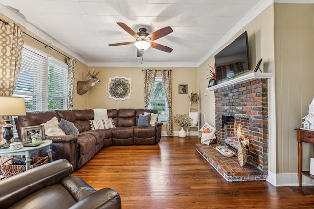 living room with crown molding, a healthy amount of sunlight, dark hardwood / wood-style flooring, and a fireplace