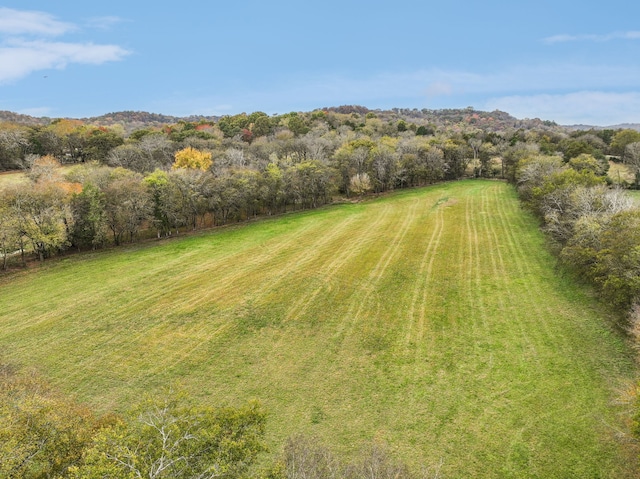 view of yard with a rural view