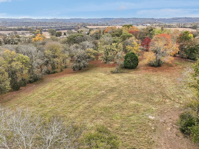 aerial view featuring a mountain view