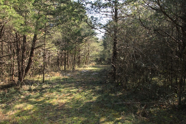 view of local wilderness